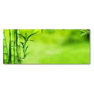 Tulup® Küchenrückwand Spritzschutz aus Glas -125x50 -Spritzschutz auf gehärtetes Glas Deko Blumen & Pflanzen Bambus