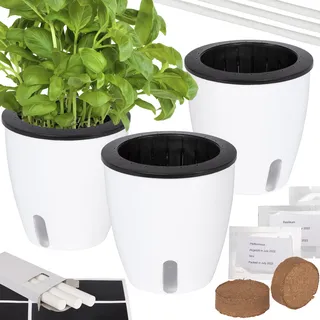ONVAYA® Kräutertopf selbstwässernd | Wasserstand ablesbar | 3er Set Ø 13 cm mit Kräutersamen | Hochwertige Farbe - Weiß