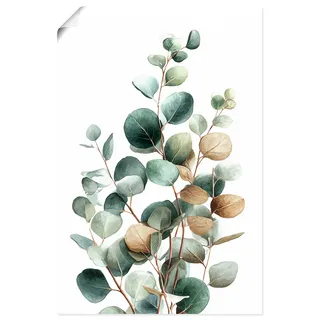 Artland Wandbild "Eukalyptus" Blätterbilder 1 Stk. tlg. als Alubild, Leinwandbild, Poster, Wandaufkleber in verschied. Größen, farbe bild(er): grün