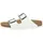Arizona Birko-Flor,