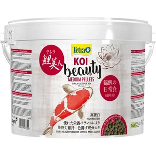 Tetra Koi Beauty Medium