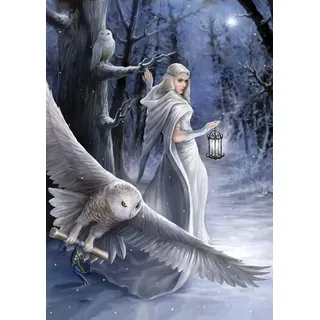 ART PUZZLE Puzzle Kollektion Anne Stokes: Midnight Messenger 1000 Teile