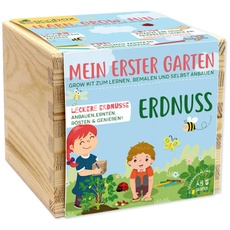 Feel Green ecobox-Kids-Edition Erdnuss, Nachhaltige Geschenkidee (100% Eco Friendly), Grow Your Own/Anzuchtset, Made in Austria