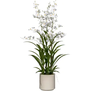 Creativ green Kunstorchidee »Orchidee Oncydie« im eleganten Topf, weiß