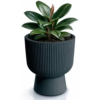 Prosperplast Blumentopf Übertopf Milly herausnehmbar Pflanzeinsatz Pflanzgefäß