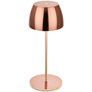 Briloner Mini LED Tischlampe Rosegold
