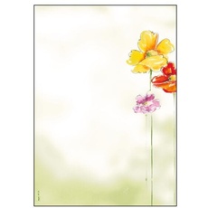 Bild von Motivpapier Spring Flowers Motiv DIN A4 90 g/qm 50 Blatt