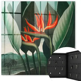 Tulup Schlüsselbox Schwarz 30x30 cm- Türöffnung nach rechts - Die Exotik der Natur , Grün , Metall , Zeichen/Symbole/Nummern/Buchstaben , Rechteckig , 30x30x5 cm , Garderobe, Schlüsselkästen & Schlüsselboards