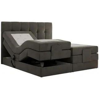 MKS Meble MKS Boxbett, Dunkelgrau Velvet - Textil, 2-Sitzer, H4 7-Zonen Rechteckig, 180x200 cm Schlafzimmer, Betten, Boxspringbetten