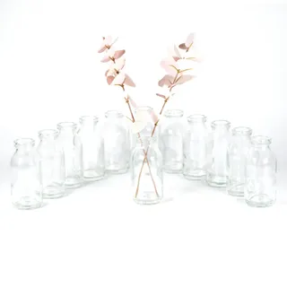 gouveo 12er Set Glasvasen VaseMini100 - Runde Blumenvasen aus Glas - Kleine Deko-Vasen für Zuhause, Hochzeiten, Geburtstage, Feste (VM100)