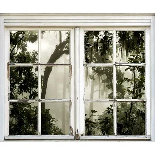 Queence »Dschungel« Wandsticker, Wandbild, selbstklebend, 3D, Fenster,