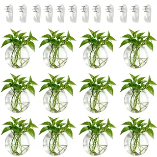 NUPTIO Wandvase für Pflanzen Innen Glas: 10 cm Blumen Wandbehang Glasvase für Wohnzimmer Wand Deko - Wasser Hängetöpfe Vasen Luft Blumenvase Terrarien für Raum Dekoration 12er-Set