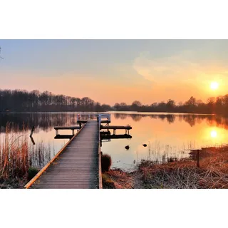Papermoon "HOLZ-BRÜCKE-PIER STEG SEE STRAND WALD SONNENUNTERGANG", bunt,