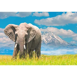Ravensburger Puzzle 13320 - African Elephant - 300 Teile Puzzle für Erwachsene und Kinder ab 14 Jahren