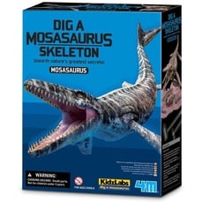 Bild KidzLabs - Dinosaurier Ausgrabung Mosasaurus