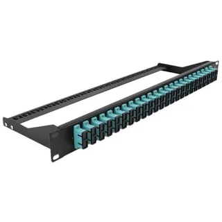 DeLOCK Patch Panel - 1U - 19"