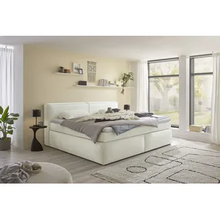 ed exciting design »Sandon, Familienbett erhältlich in der Größe 240x200cm« in verschiedenen Farben erhältlich