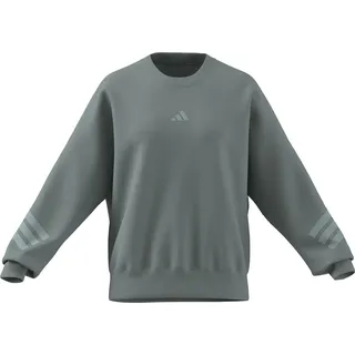 adidas Future Icons Sweatshirt Wonder Sage M