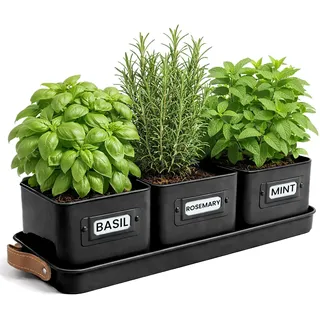 Green Thumbz 3 STK. Kräutertopf - Kräutertöpfe für Deinen Kräutergarten und Fensterbank Innen Dekoration - Basilikum Topf mit Ledergriffen & Untersetzer - Küchenkräuter Topf (Schwarz)