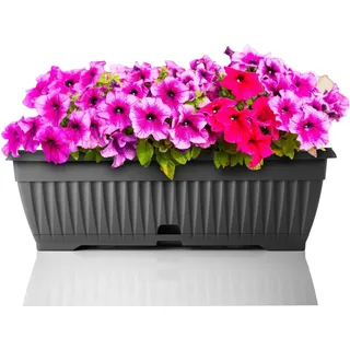 BigDean Blumenkasten Mit Abnehmbarem Untersetzer Anthrazit 50 Cm Lang Aus Bruchsicherem Kunststoff Balkonkasten Pflanzkasten Mit Wasserspeicher