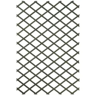 Versele-Laga Garten-Rankgitter 100 x 200 cm Holz Grün