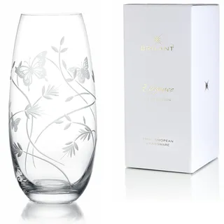BRILANT Butterfly Glasvase Zylinder Runde Hohe Glas - Blumenvase Modern, Zylindervase, Durchsichtige Vase für Elegante Akzente (25 cm)