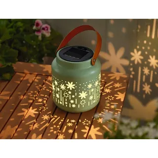 Moses Blatt & Blüte Solar-Licht Schattenzauber