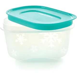 Tupperware 2 Igloo Dosen 170 ml Gefrierfach Kleine Mengen - Kräuter Früchte Gemüse Baby - Transparenter Boden Abgerundete Ecken - Flexibler Kunststoff - 10,9x7,3x6,1 cm - Spülmaschinengeeignet