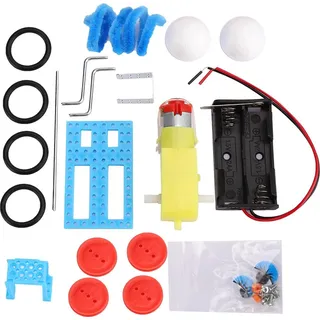 DIY Reptilienroboter Kit Elektrisches wissenschaftliches Lernspielzeug Kinder Lerngeschenk