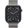 Watch Series 11 GPS + Cellular 46 mm Titaniumgehäuse beige Edelstahlarmband beige M/L