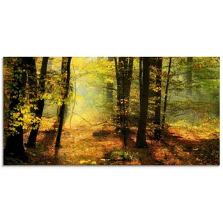 Artland Glasbild »Herbstlicht im Wald« Wald 1 Stk. tlg. in verschiedenen Größen, grün