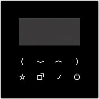 Jung Display für Smart Radio DAB LS-DISP SW