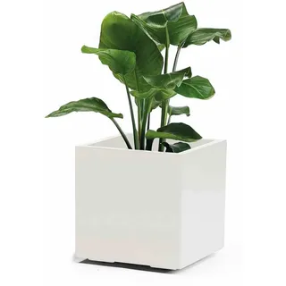 Euro3Plast Greener KEBE 40 40 x 40 x 40 cm Weiß