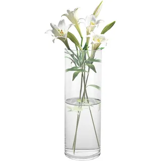 ZOFUN 30cm Glasvase Groß Gross Klar, Glas Blumenvase Zylinder Runde, Zylindrische Glasvase Vase Groß für Orchideen, Rosen, Tulpen, Pampasgras, Tischdeko, Kerze etc