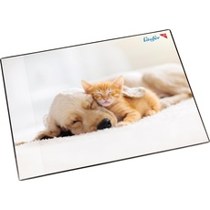 Bild Schreibunterlage Hund und Katze, 53x40 cm,
