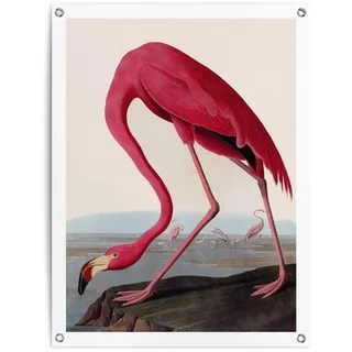 Reinders! Poster »Audubon Flamingo« Garten - Rosa - Leinwand - Tiere - 60x80 cm, rosa