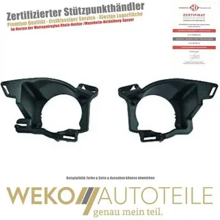 Diederichs Halter, Nebelscheinwerfer 4456042