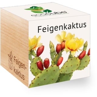 Feel Green - WE CREATE NATURE 501250 Feel Green Ecocube Feigenkaktus, Nachhaltige Geschenkidee (100% Eco Friendly), Grow Your Own/Anzuchtset, Pflanzen Im Holzwürfel, Made in Austria