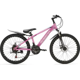 Generation M-760 Mountainbike 24 Zoll – Pink mit Schutzblechen