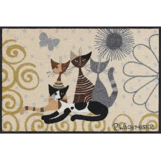 Rosina Wachtmeister Fantasia di Gatti Salonloewe Fußmatte waschbar 050 x 075 cm Fußabtreter Schmutzfangmatte Katzen bunt Haustür