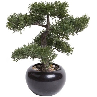 Emerald Kunstpflanze Bonsai Zeder Grün 34 cm 420003