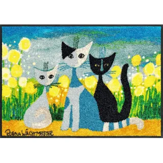 Salonloewe Fußmatte Lifestyle Springtime 50x75 cm Frühling Eingangsmatte bunt Blumen Katzen Fussabtreter