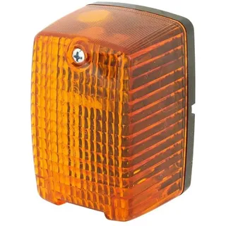 Hella Blinkleuchte 2BM 002 652-071 Links