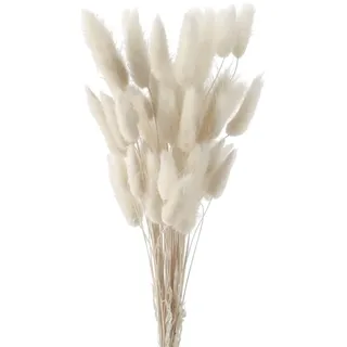 GIUSOBG 50 Stück Pampasgras Getrocknet Trockenblumen 45cm Getrocknete Natürliche Pampasgras Pflanzen Flauschige Trockenblumen (Weiß)