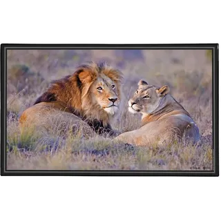 Viquel - Dekorative Schreibtischunterlage Löwe – Schutz für den Schreibtisch für Kinder oder Erwachsene – 59,5 x 36,2 cm – Schwarz