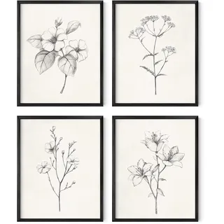 HAUS AND HUES Botanische Pflanze Wandkunstdrucke – Set mit 4 Pflanzen-Wanddekor-Drucken, florale Küchenpflanzenbilder, Boho-Blatt-Eukalyptus-Wanddekoration (antike Blumenzeichnungen, 8x10 ungerahmt)