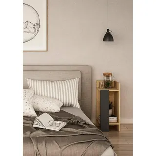 Dmora - Nachttisch Libra, Niedrige Kommode, Tisch, Multifunktionaler Nachttisch, 25x27h60 cm, Eiche und Anthrazit