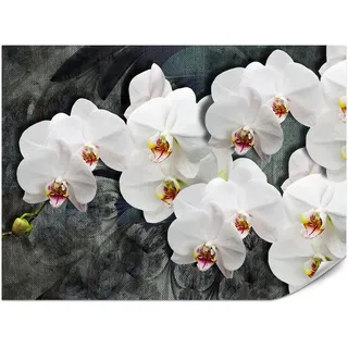 Muralo Fototapete für Schlafzimmer Weiße Orchideen Rustikales Hintergrund Floral 250x175 , Weiß, Grau , Papier , Rechteckig , 250x175 cm , Tapeten & Wandverkleidungen, Fototapeten