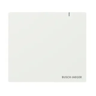 Busch-Jaeger SAP.13-WL System Access Point 3.0 Wireless 2CKA006200A0967 SAP13WL