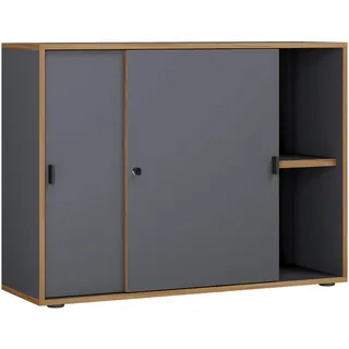VCM Salia Aktenschrank 100,0 x 37,4 x 74,0 cm grau